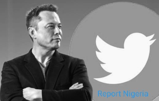 Elon Musk buys twitter