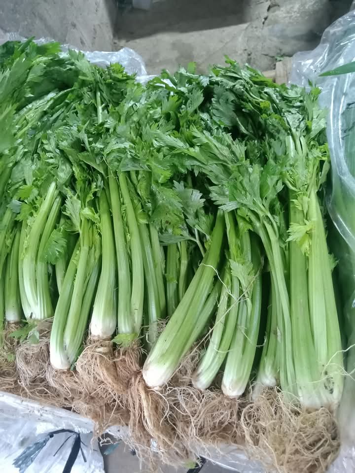 Some vegetable are diuretic food. They increases urine production, kidney function, and reduces edema. 