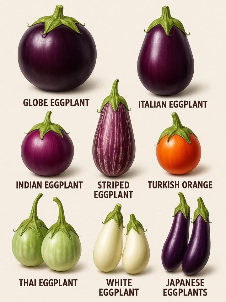 They stimulate intestinal function. Examples are eggplant, Plum, Chard and Whole grain cereals.